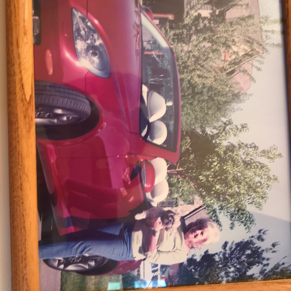 Meet your Posher, Holly